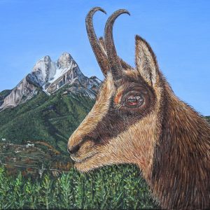 L'Isard al Pedraforca