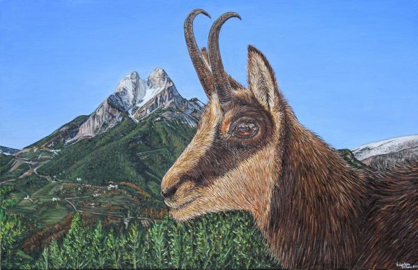 L'Isard al Pedraforca