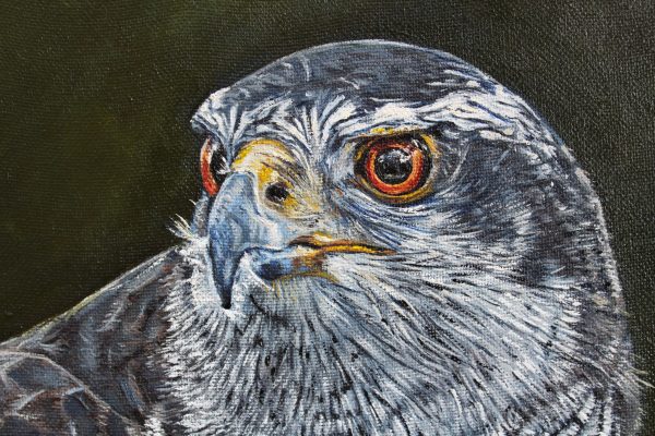 Winged Hunter - Image 2
