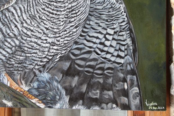 Winged Hunter - Image 5