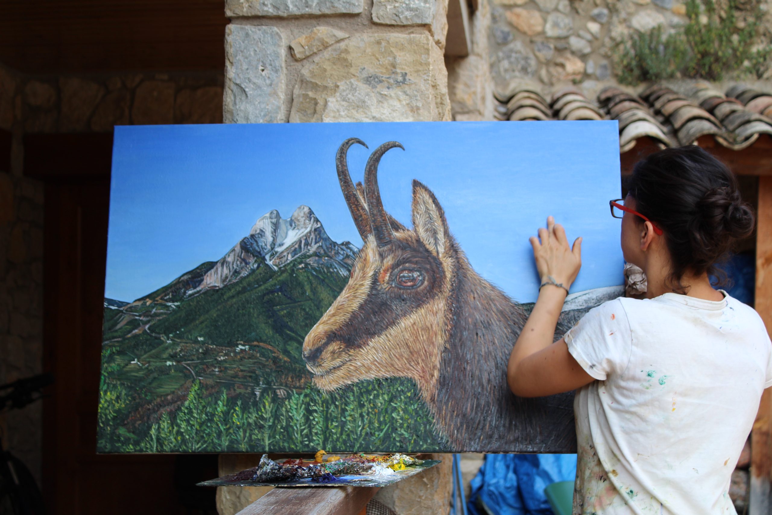L'Isard al Pedraforca - Image 2